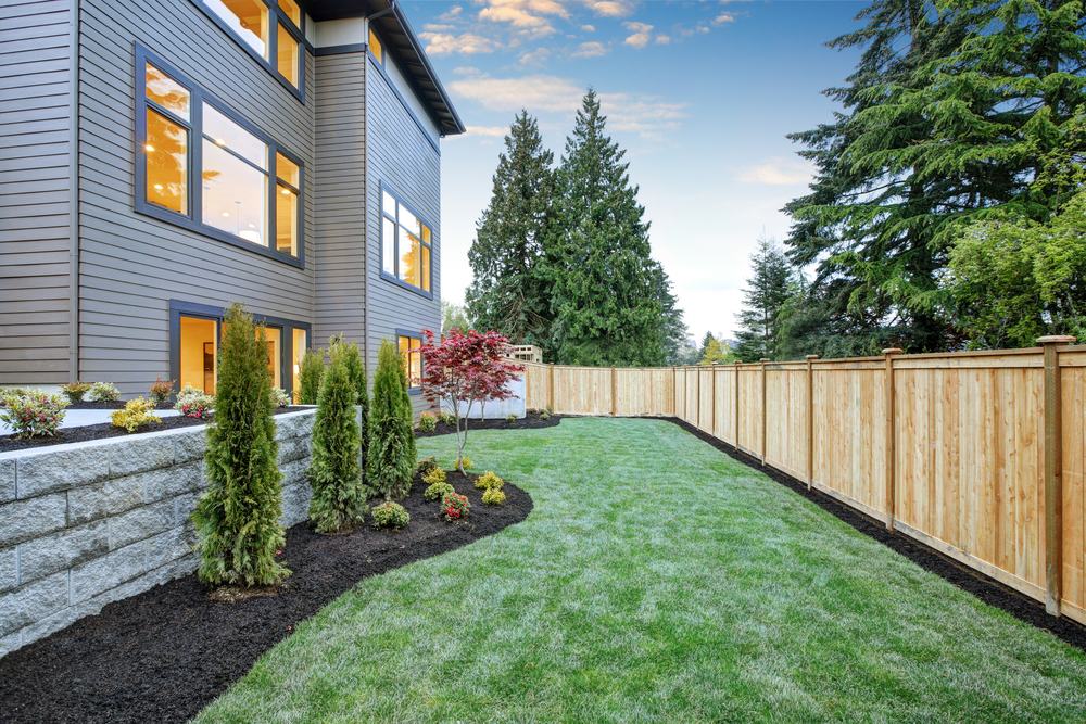 Cedar privacy fence along a landscaped backyard