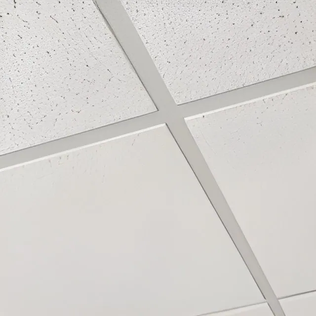 Drop ceiling swatch