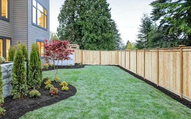 Cedar privacy fence along a landscaped yard